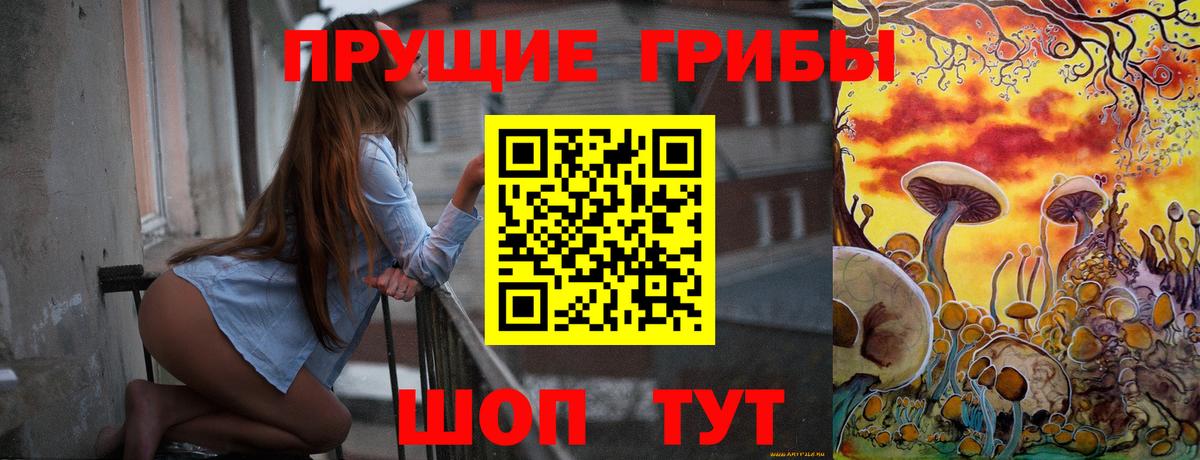 Будённовск  Псилоцибиновые грибы мухоморы  наркошоп  Вход с VPN 