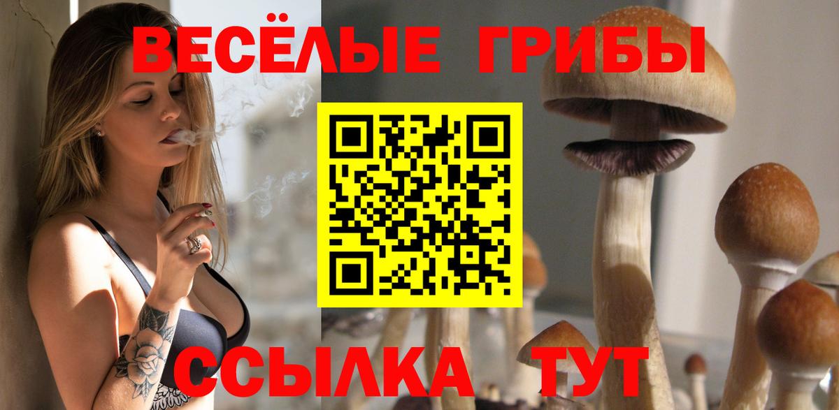 Псилоцибиновые грибы GOLDEN TEACHER Будённовск
